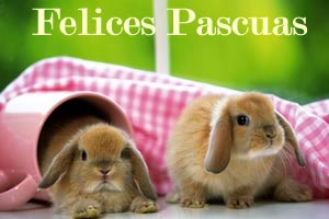 Im�genes conejos Felices Pascuas