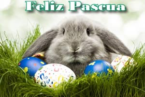 Im�genes conejo de Pascua