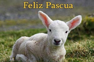 Im�genes de Pascua Cordero
