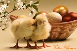 Im�genes Felices Pascuas