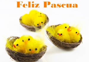 Im�genes pollitos de Pascua