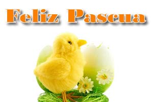 Tiernos pollitos Pascua Im�genes
